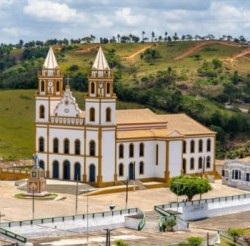 Imagem de Bananeiras
