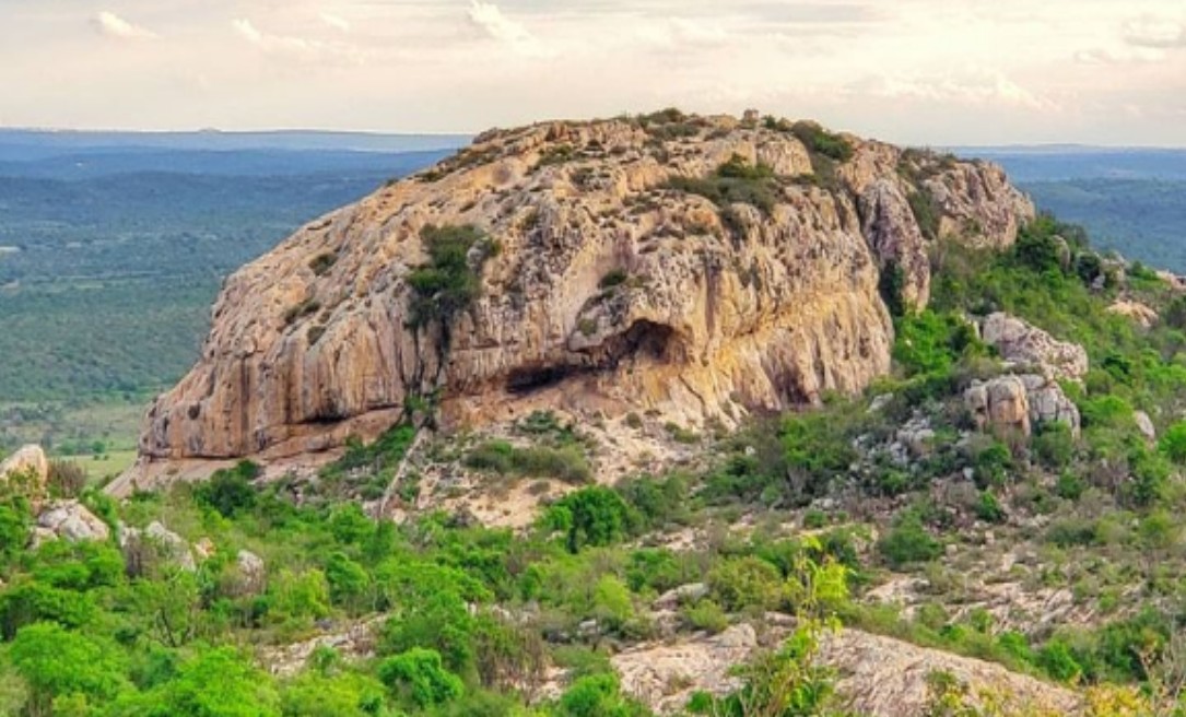 Algodão de Jandaira