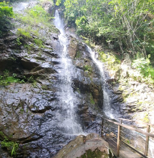 Imagem de natuba